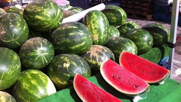 البطيخ