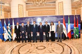 الدول الأعضاء فى منتدى غاز المتوسط 