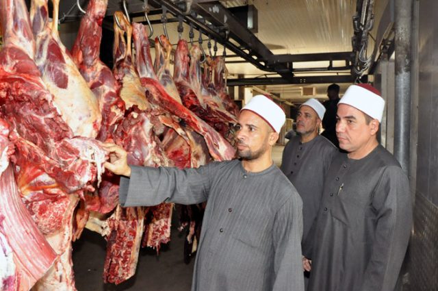 ذبح الأضاحي تحت إشراف أئمة الأوقاف