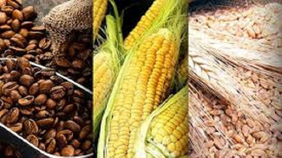 أسعار القمح والذرة أسعار القمح والذرة