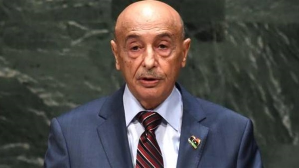 رئيس مجلس النواب الليبي عقيلة صالح رئيس مجلس النواب الليبي عقيلة صالح