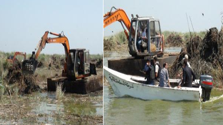 التعديات على بحيرة المنزلة 