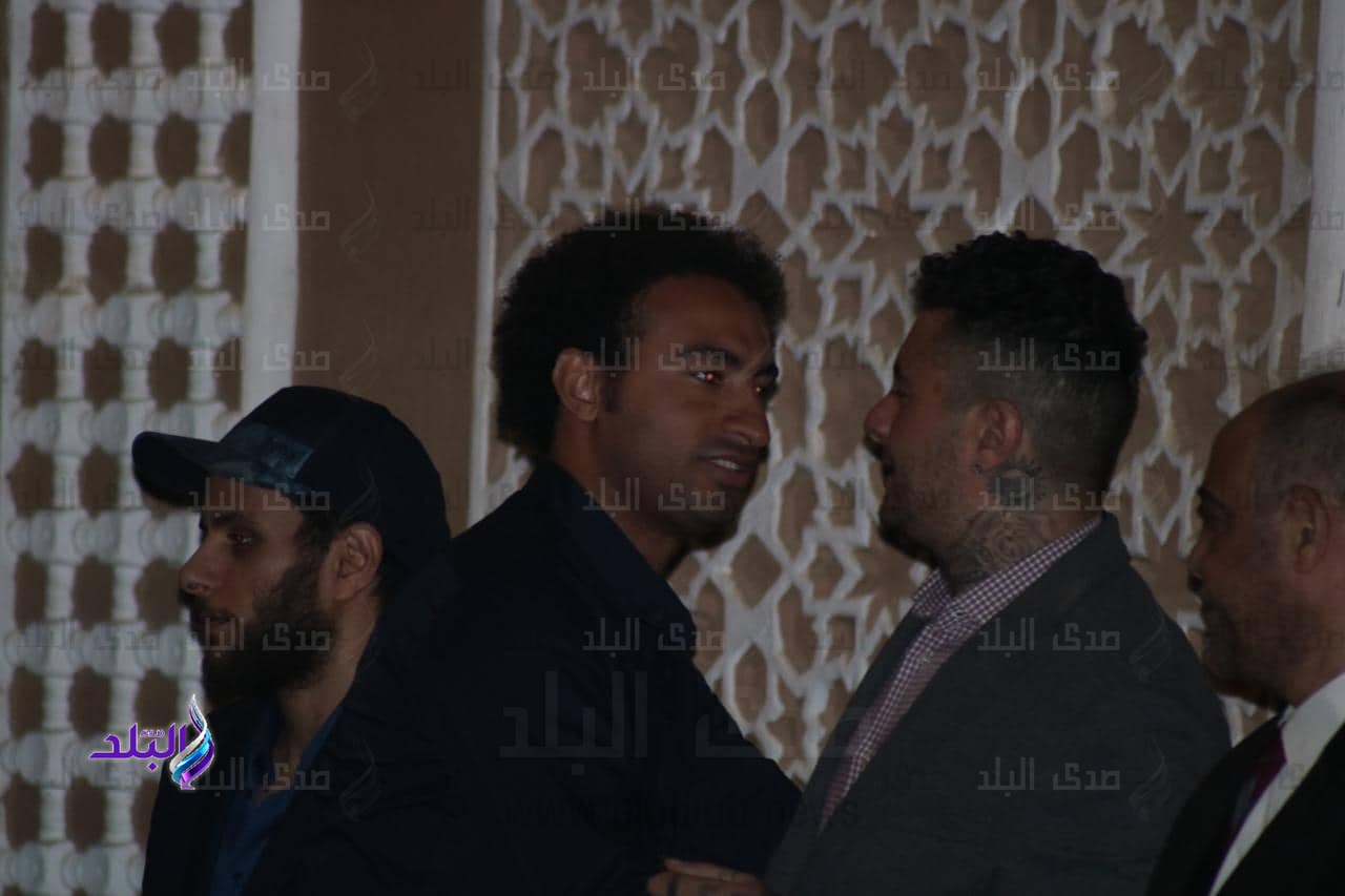 علي ربيع 