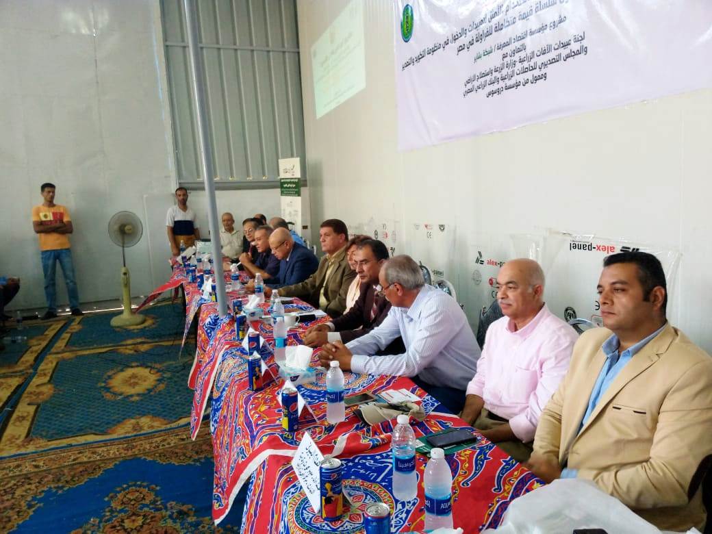 تدشين مشروع "من المزرعة إلي التصدير " بالبحيرة تدشين مشروع "من المزرعة إلي التصدير " بالبحيرة