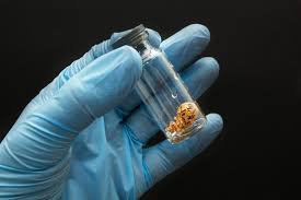 عمليات تجميد البويضات