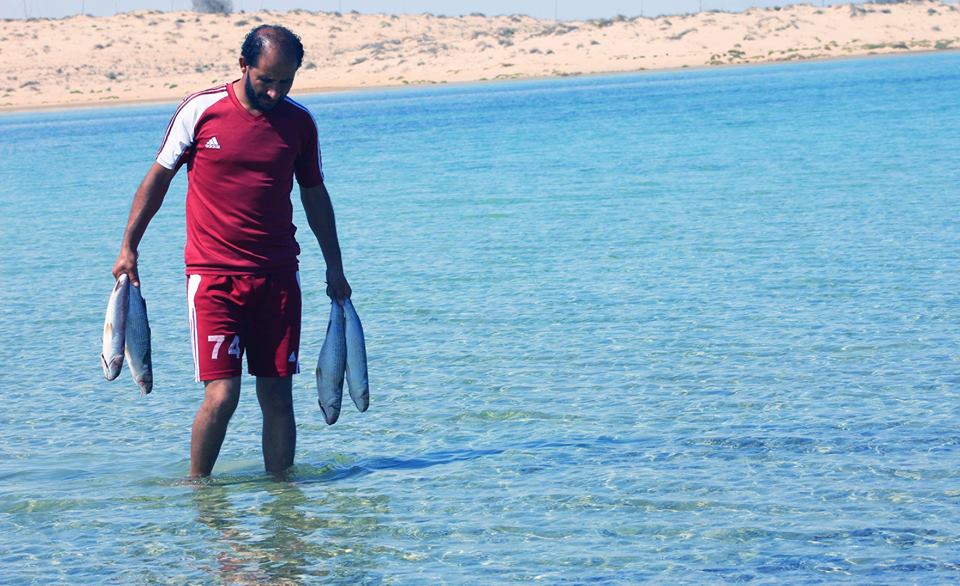 شمال سيناء تقرر السماح باستخدام الشبكة لصيد الأسماك شمال سيناء تقرر السماح باستخدام الشبكة لصيد الأسماك