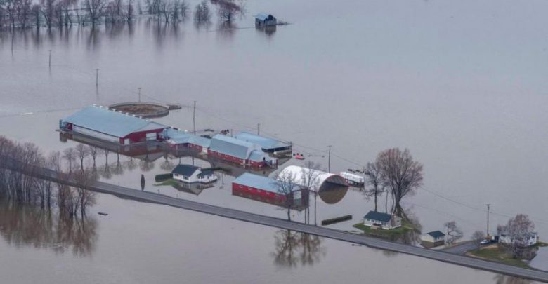 صورة تعبيرية صورة تعبيرية