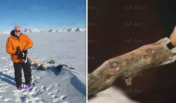 اكتشاف جديد بالقارة القطبية الجنوبية