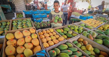 مانجو العويس