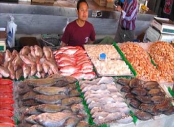 اسعار السمك