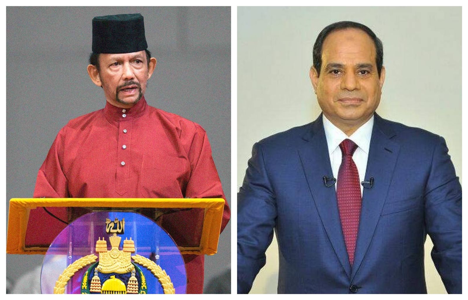 السيسي يستقبل سلطان بروناي