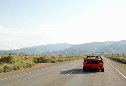 سفر