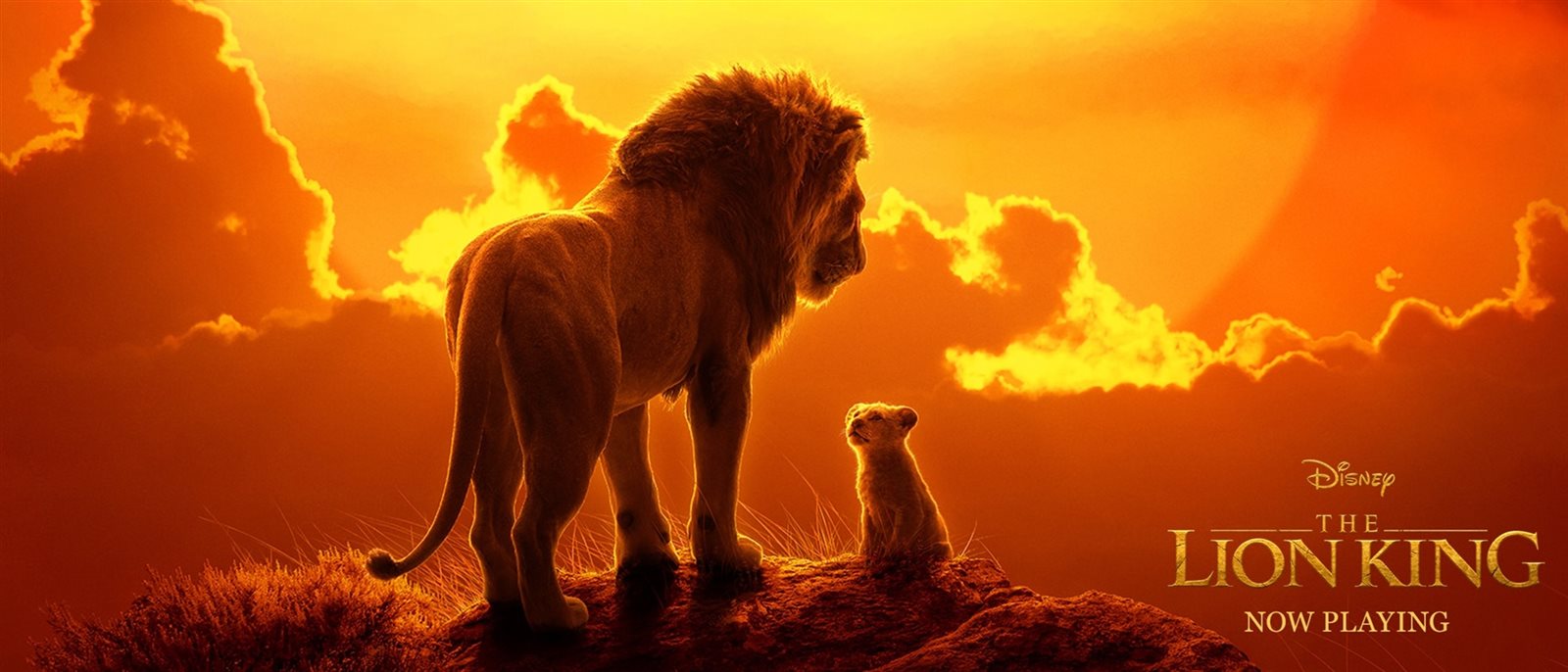 the lion king