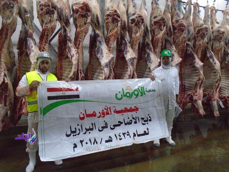 توزيع اللحوم البلدية فى قرى الأقصر