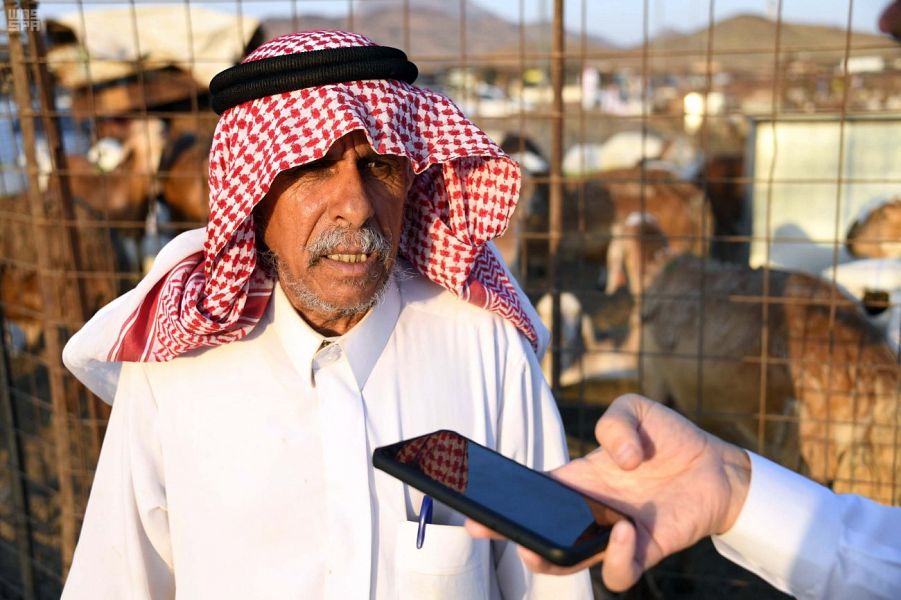 ركة شرائية ملحوظة في أسواق الماشية بالمدينة المنورة ركة شرائية ملحوظة في أسواق الماشية بالمدينة المنورة