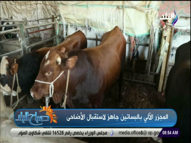 مجزر البساتين 