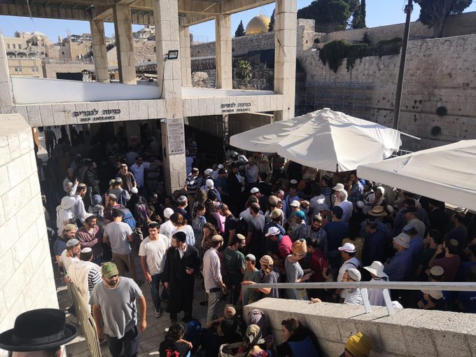 قوات الاحتلال تقتحم المسجد الأقصى