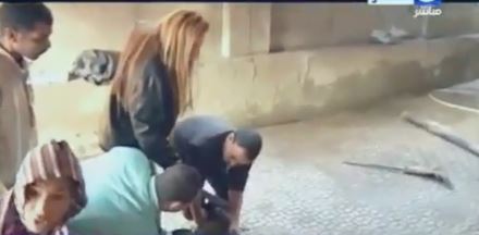 ريهام سعيد 