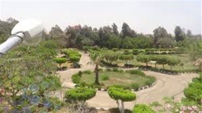 المواطنون يتوافدون على الحدائق والمتنزهات بالمحافظات 