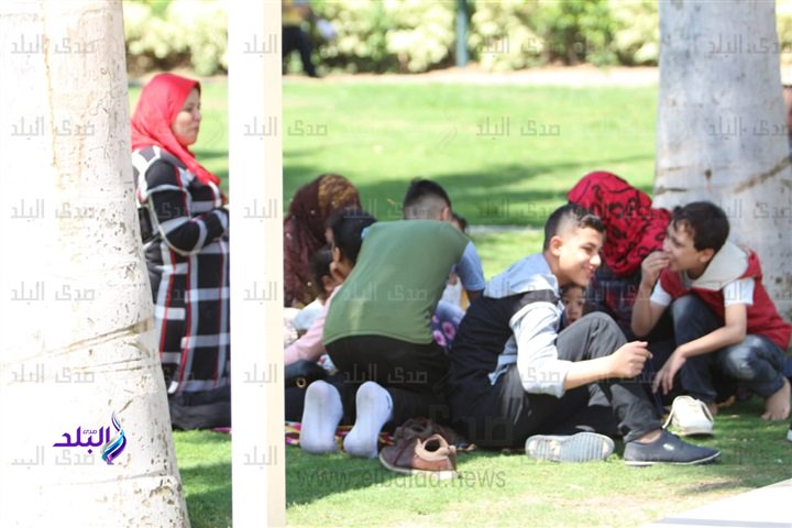 احتفالات العيد احتفالات العيد