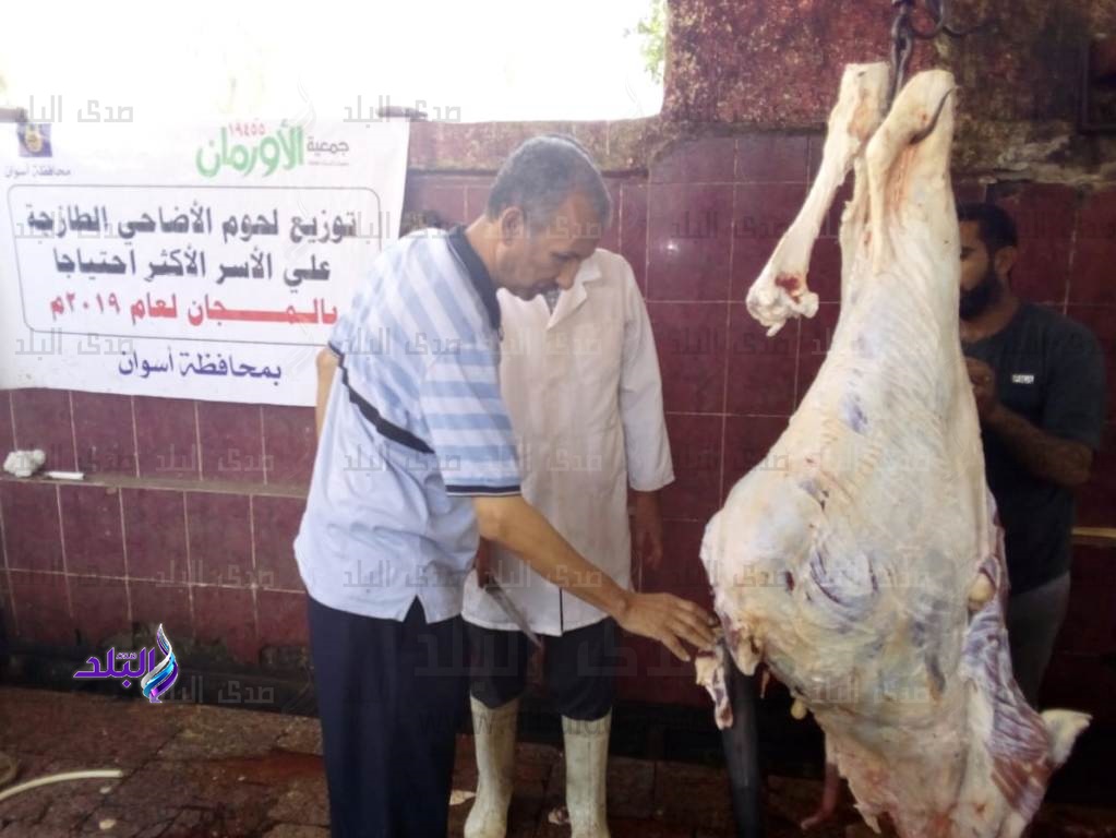 ذبح الأضاحى بالمجان ذبح الأضاحى بالمجان