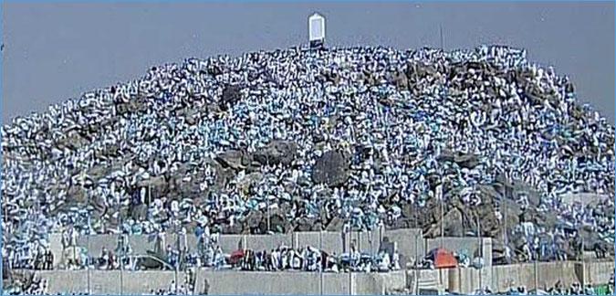 عدد الحجاج عدد الحجاج