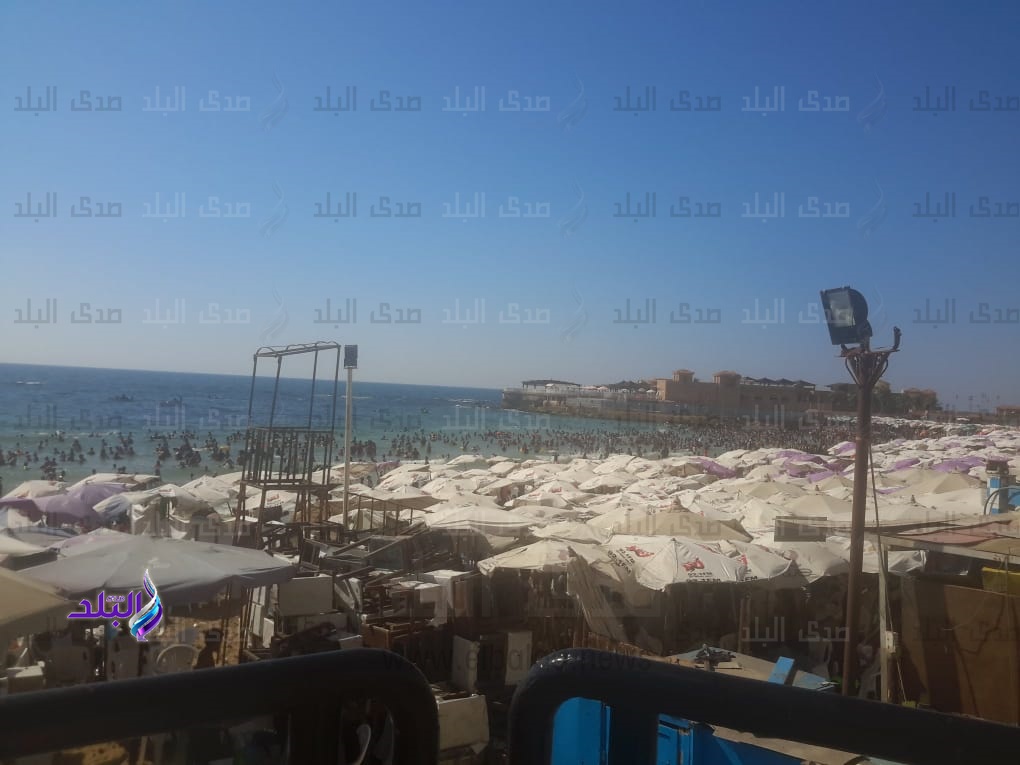 إقبال كبير بالاسكندرية على الحدائق إقبال كبير بالاسكندرية على الحدائق
