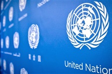 الأمم المتحدة