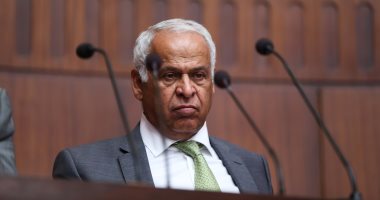 محمد فرج عامر محمد فرج عامر