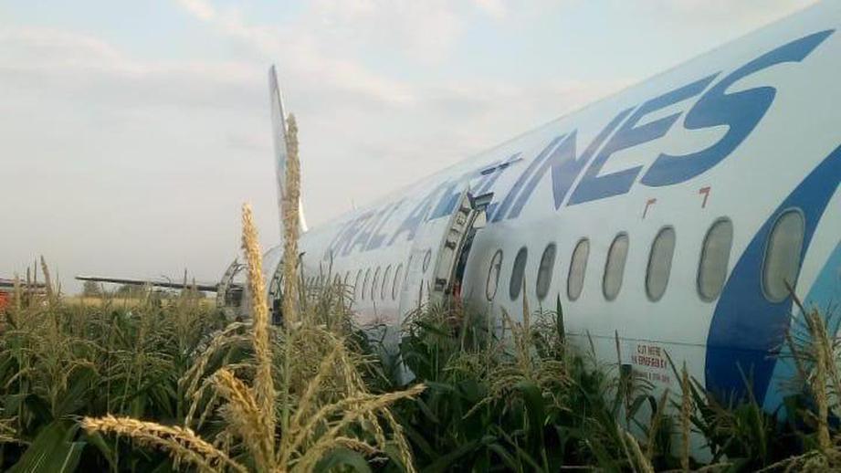 طائرة روسية تهبط اضطراريا بسبب النورس