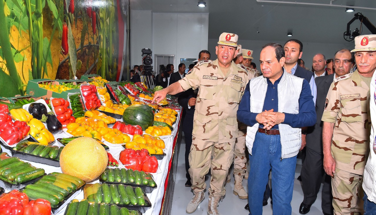 الرئيس السيسى يفتتح 1300 من الصوب الزراعية 