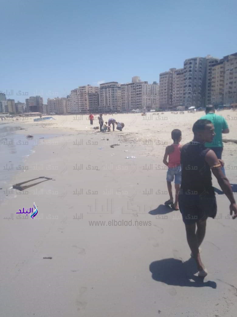 ديدان شاطئ الدخيلة ديدان شاطئ الدخيلة