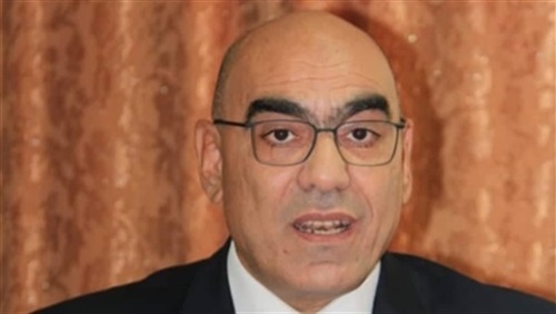 هشام نصر