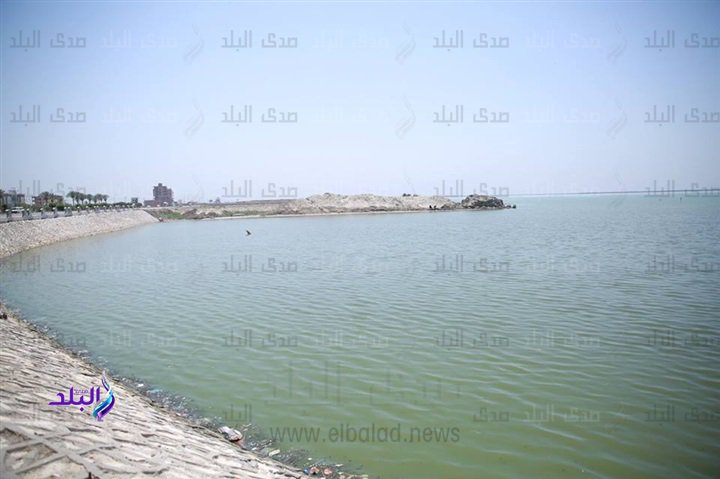 بحيرة البرلس