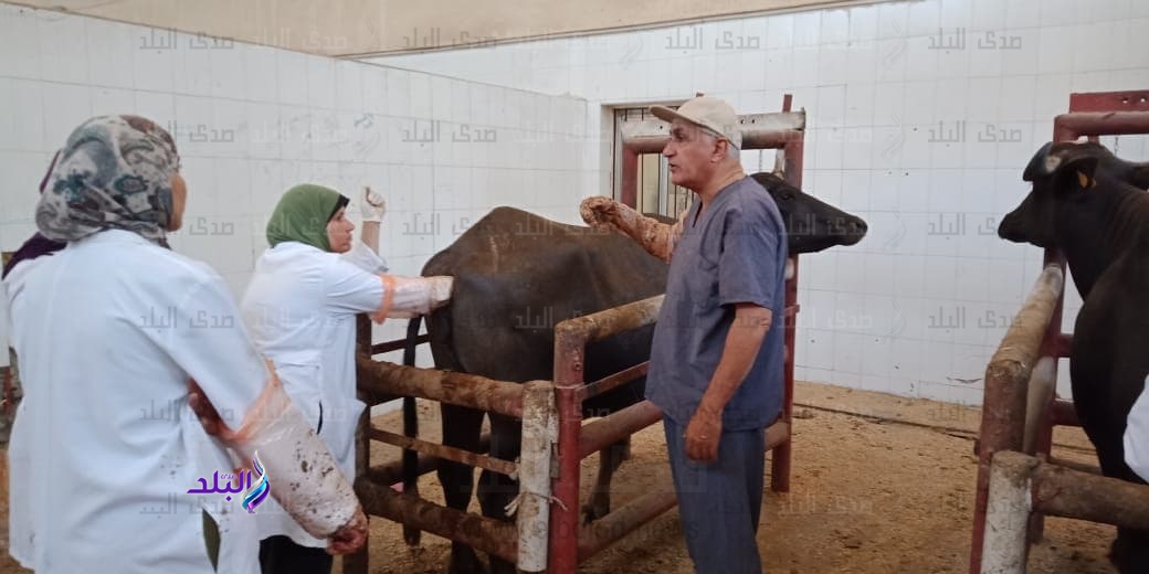 صطحاب المتدربين إلي بعض المزارع للتدريب الحقلى صطحاب المتدربين إلي بعض المزارع للتدريب الحقلى