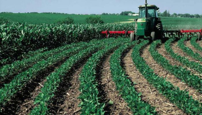  الاستثمــارية الممنوحــة للمزارعيــن والمشــروعات الزراعية