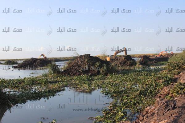 تطهير بحيرة ادكو 
