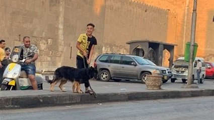 التعدى على شاب معاق فى باب الشعرية 