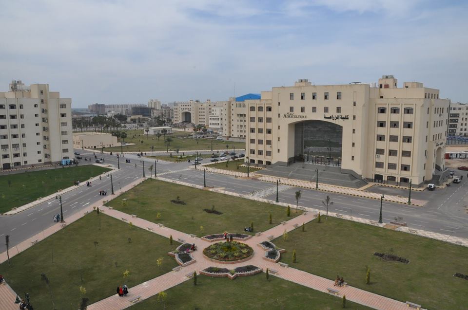 التعليم العالي: تعيين عمداء جدد بجامعات كفر الشيخ والمنوفية التعليم العالي: تعيين عمداء جدد بجامعات كفر الشيخ والمنوفية