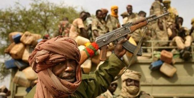 مرصد الأزهر: يُدين جرائم بوكو حرام الإرهابية في النيجر