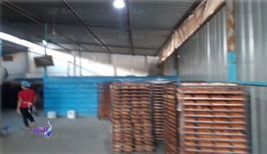 مصنع مخبوزات مصنع مخبوزات