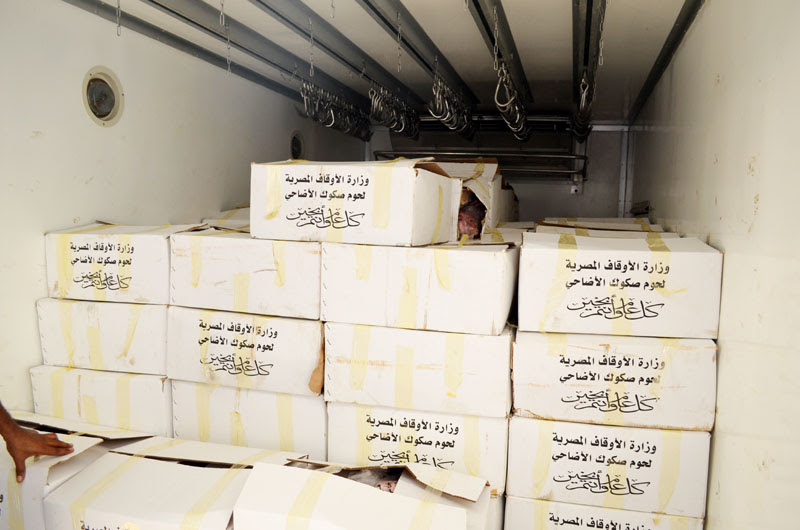 توزيع ١٠ أطنان لحوم أضاحي بالشرقية والمنوفية وجنوب سيناء توزيع ١٠ أطنان لحوم أضاحي بالشرقية والمنوفية وجنوب سيناء