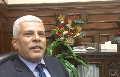 سيد خليفة نقيب الزراعيين