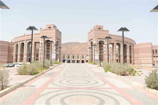 جامعة نيو جيزة جامعة نيو جيزة