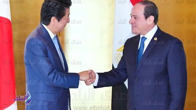 السيسى خلال قمة التيكاد 