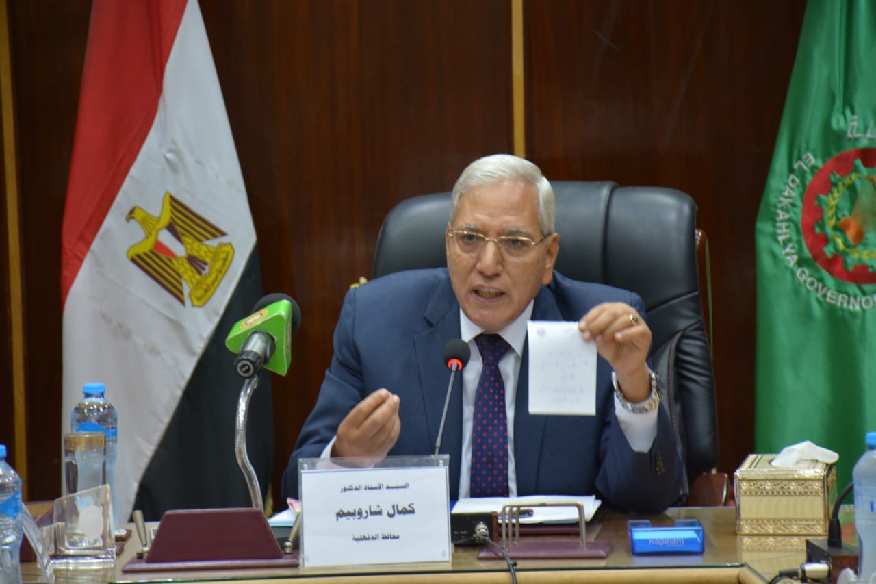 محافظ الدقهلية 