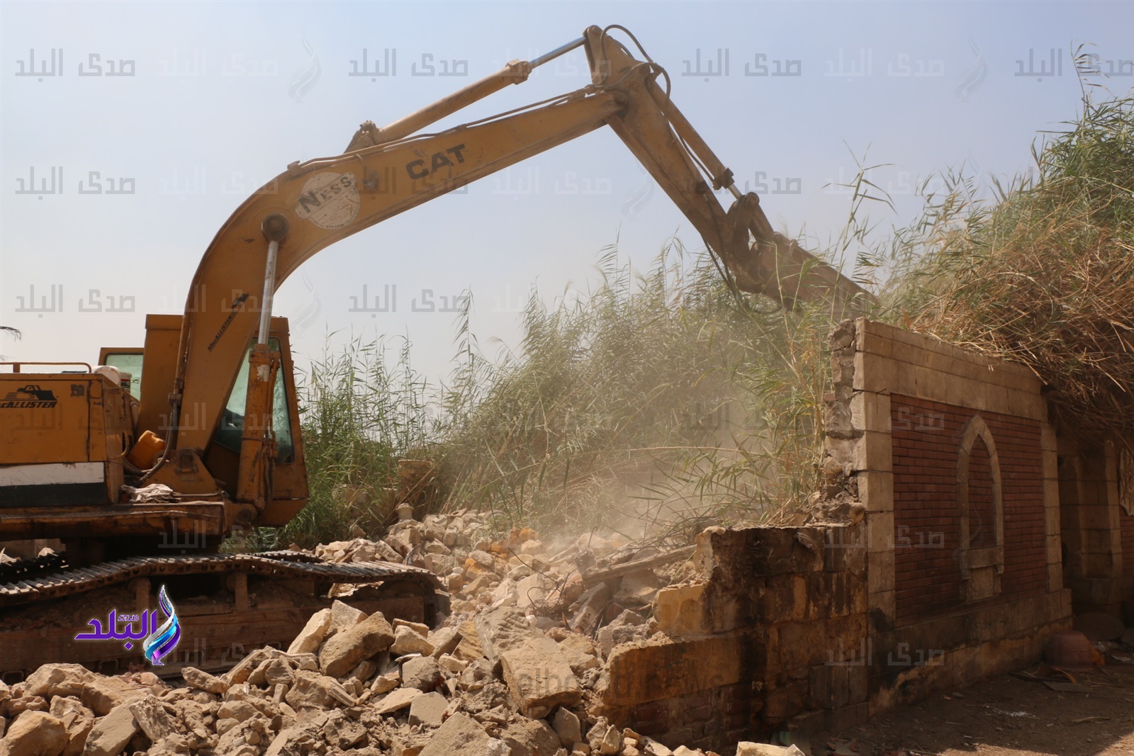 ازالة عين الحياة العشوائية ازالة عين الحياة العشوائية