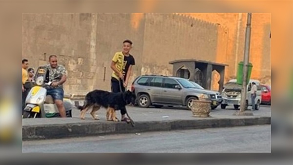 ضبط عامل يرهب بكلبه مواطنا