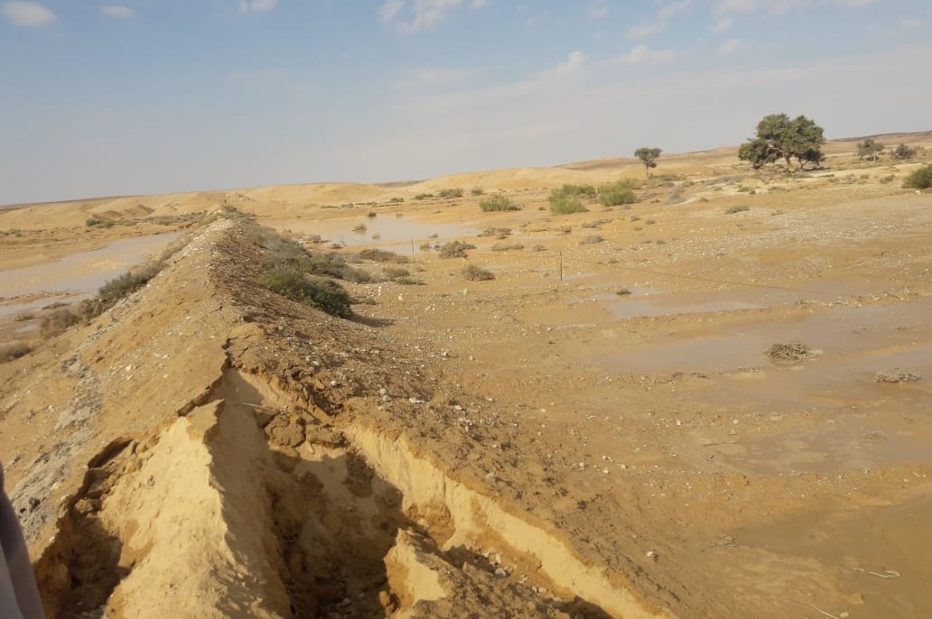 سدود ترابية