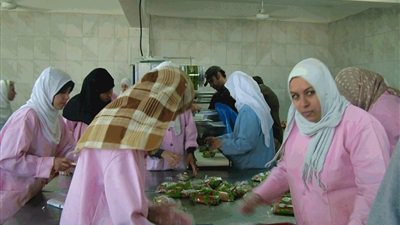 شمال سيناء تستعد لاستقبال العام الدراسي الجديد 